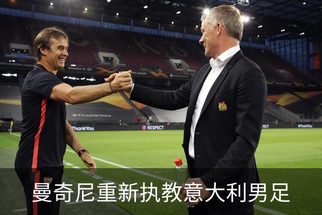 曼奇尼重新执教意大利男足