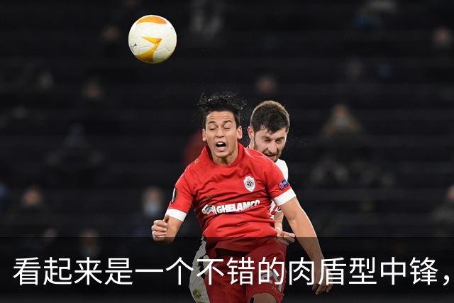 看起来是一个不错的肉盾型中锋，火箭可以考虑为他提供双向合同？
