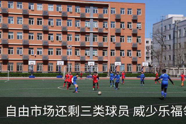 自由市场还剩三类球员 威少乐福领衔失业大军？