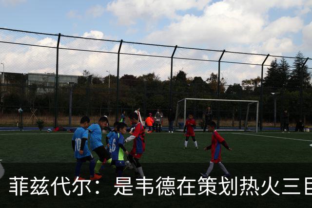 菲兹代尔：是韦德在策划热火三巨头 他告诉我能弄来波什和詹姆斯